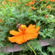 ヒメ日記 2025/08/09 10:14 投稿 ひな 性春放課後スクワット五反田編