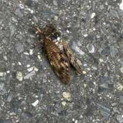 ヒメ日記 2025/08/14 14:48 投稿 ひな 性春放課後スクワット五反田編