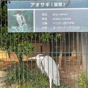 ヒメ日記 2025/10/20 21:25 投稿 雨夢（うゆ） 女々艶 大和店