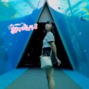 ヒメ日記 2025/11/05 01:16 投稿 雨夢（うゆ） 女々艶 大和店