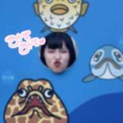 ヒメ日記 2025/11/16 19:30 投稿 雨夢（うゆ） 女々艶 大和店