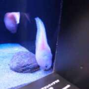 ヒメ日記 2025/11/25 20:30 投稿 雨夢（うゆ） 女々艶 大和店