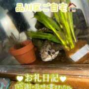 ヒメ日記 2025/08/10 15:50 投稿 うみか 熟女の風俗最終章 蒲田店