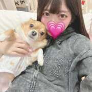 ヒメ日記 2025/12/09 21:34 投稿 北斗ゆりあ デリス新宿