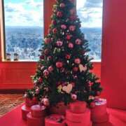 ヒメ日記 2025/12/18 22:03 投稿 楓 王冠-crown-