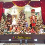 ヒメ日記 2025/12/19 17:01 投稿 楓 王冠-crown-