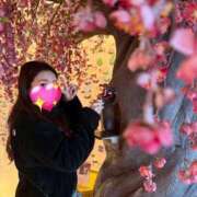 ヒメ日記 2026/03/09 18:44 投稿 楓 王冠-crown-