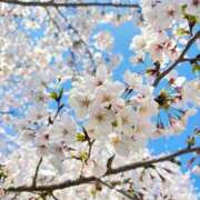 ヒメ日記 2026/04/09 21:04 投稿 はづき 王冠-crown-