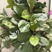 ヒメ日記 2025/08/13 04:16 投稿 新垣　りな 30・40・50代☆人妻熟女コレクション