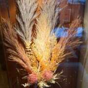 ヒメ日記 2025/11/08 01:10 投稿 新垣　りな 30・40・50代☆人妻熟女コレクション