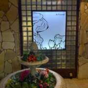 ヒメ日記 2025/11/21 09:02 投稿 新垣　りな 30・40・50代☆人妻熟女コレクション