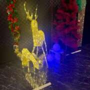 ヒメ日記 2025/11/28 15:02 投稿 新垣　りな 30・40・50代☆人妻熟女コレクション