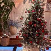 ヒメ日記 2025/11/28 23:01 投稿 新垣　りな 30・40・50代☆人妻熟女コレクション