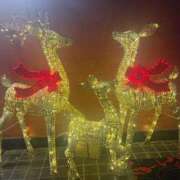 ヒメ日記 2025/12/02 00:57 投稿 新垣　りな 30・40・50代☆人妻熟女コレクション