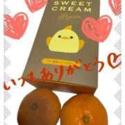 ヒメ日記 2026/01/14 01:01 投稿 新垣　りな 30・40・50代☆人妻熟女コレクション