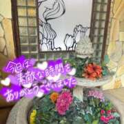 ヒメ日記 2026/06/12 05:15 投稿 新垣　りな 30・40・50代☆人妻熟女コレクション