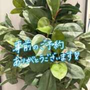 ヒメ日記 2026/06/12 23:16 投稿 新垣　りな 30・40・50代☆人妻熟女コレクション