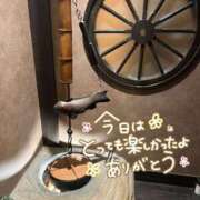 ヒメ日記 2026/07/02 04:32 投稿 新垣　りな 30・40・50代☆人妻熟女コレクション