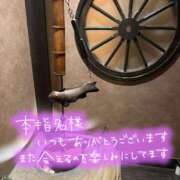 ヒメ日記 2026/07/15 18:31 投稿 新垣　りな 30・40・50代☆人妻熟女コレクション