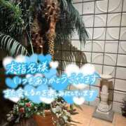 ヒメ日記 2026/07/17 17:07 投稿 新垣　りな 30・40・50代☆人妻熟女コレクション
