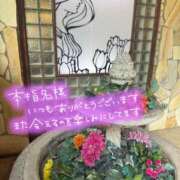 ヒメ日記 2026/09/28 03:58 投稿 新垣　りな 30・40・50代☆人妻熟女コレクション