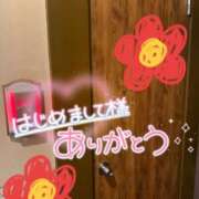 ヒメ日記 2026/10/09 04:54 投稿 新垣　りな 30・40・50代☆人妻熟女コレクション