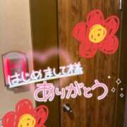 ヒメ日記 2026/10/09 08:23 投稿 新垣　りな 30・40・50代☆人妻熟女コレクション