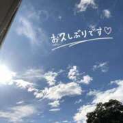 ヒメ日記 2026/10/19 09:31 投稿 新垣　りな 30・40・50代☆人妻熟女コレクション