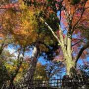 ヒメ日記 2025/11/17 23:38 投稿 鮫島れむ-REM- Casual Rich 5（カジュアルリッチファイブ）