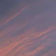 りん ♦︎ お休みします ♦︎ ちゃんこ藤沢茅ヶ崎店