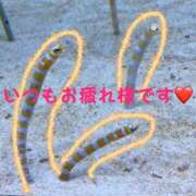 ヒメ日記 2025/08/14 11:49 投稿 あいみ 西川口ちゃんこ