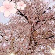 ヒメ日記 2026/04/05 21:29 投稿 あいみ 西川口ちゃんこ