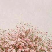 ヒメ日記 2025/08/23 07:06 投稿 福原かなみ お姉さんCLUB