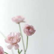 ヒメ日記 2025/08/23 19:04 投稿 福原かなみ お姉さんCLUB