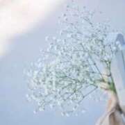 ヒメ日記 2025/08/23 19:36 投稿 福原かなみ お姉さんCLUB