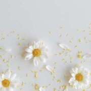 ヒメ日記 2025/08/24 09:51 投稿 福原かなみ お姉さんCLUB