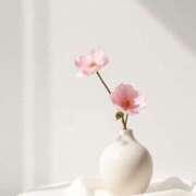 ヒメ日記 2025/08/24 17:21 投稿 福原かなみ お姉さんCLUB