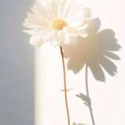 ヒメ日記 2025/08/24 20:39 投稿 福原かなみ お姉さんCLUB