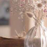 ヒメ日記 2025/08/25 06:33 投稿 福原かなみ お姉さんCLUB