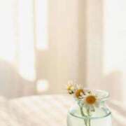 ヒメ日記 2025/08/25 12:24 投稿 福原かなみ お姉さんCLUB