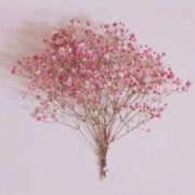 ヒメ日記 2025/08/26 21:51 投稿 福原かなみ お姉さんCLUB