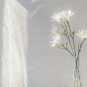 ヒメ日記 2025/08/29 07:33 投稿 福原かなみ お姉さんCLUB