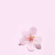 ヒメ日記 2025/08/31 07:33 投稿 福原かなみ お姉さんCLUB