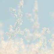 ヒメ日記 2025/09/07 19:33 投稿 福原かなみ お姉さんCLUB