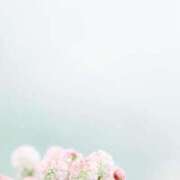 ヒメ日記 2025/09/12 08:12 投稿 福原かなみ お姉さんCLUB