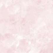 ヒメ日記 2025/09/20 12:27 投稿 福原かなみ お姉さんCLUB