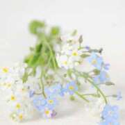 ヒメ日記 2025/09/21 22:24 投稿 福原かなみ お姉さんCLUB