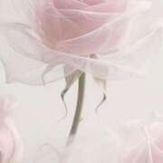 福原かなみ お久しぶりです💭 お姉さんCLUB