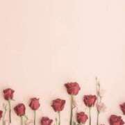 福原かなみ 明日出勤です🎶 お姉さんCLUB