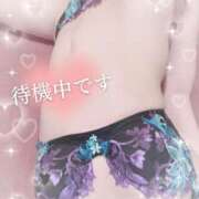 ヒメ日記 2025/09/29 15:10 投稿 OL≫柚月のどか 不倫商事多治見営業所